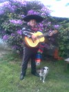 serenatas de amor con el mariachi tecalitlan fono: 09-7181780