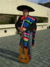 mariachis,serenatas,charros,mariachi tecalitlan 97181780
