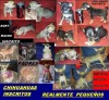 chihuahuas miniaturas hembras y machos inscritos 078834020