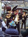 charro con el mariachi tecalitlán  de chile.  9-7181780