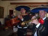 locura mexicana / mariachis en chile
