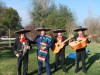 a un paso de mariachis en chile / lo mejor en música mexicana