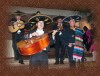 locura mexicana con mariachis en chile en el dia del padre