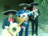 // mariachis en chile 2008//