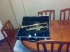 trompeta king 600 americana